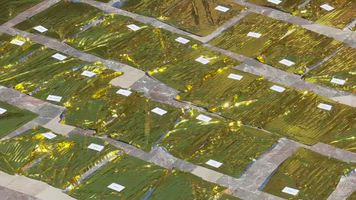 Precioso homenaje a las víctimas de la DANA en la plaza del ayuntamiento de Valencia