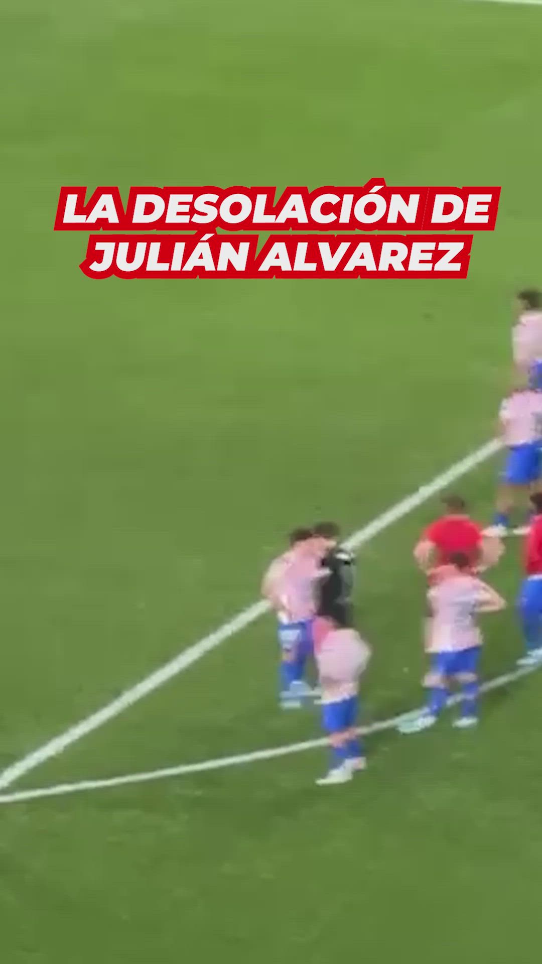 La desolación de Julian Álvarez al ir a saludar a la afición del Atleti: se derrumbó...